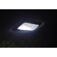 Ampoule LED Plafonnier pour Nissan Primastar