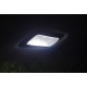 Ampoules Interieur LED Renault Trafic II