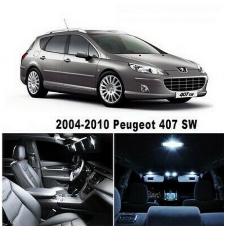 Ampoules leds Interieur Peugeot 407 SW