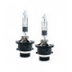 Ampoule D2R Honda Accord VIII